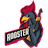 Jogadores(as) da equipe Rooster