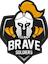 Logo do time https://cdn.pandascore.co/images/team/image/134821/191px_team_brave_soldiers_2020_allmode.png