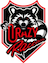 Logo do time Crazy Raccoon