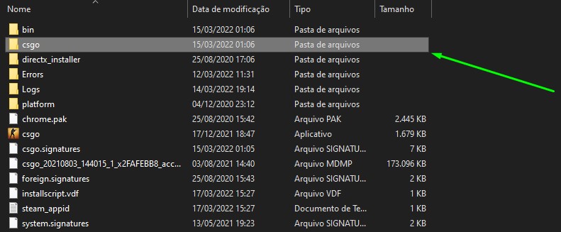 Escolha a pasta csgo