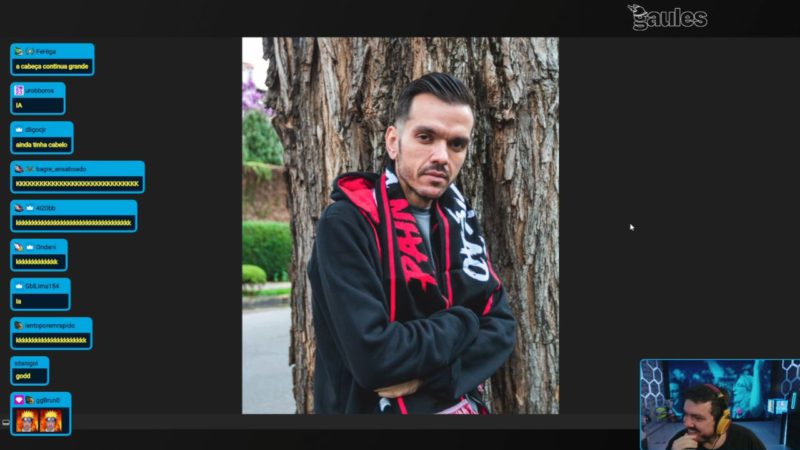 Gaules na paiN Gaming