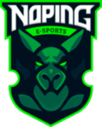 NoPing