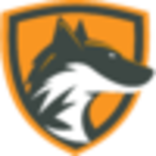 DFX