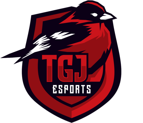 TGJ Esports