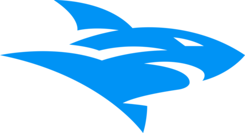 ISG