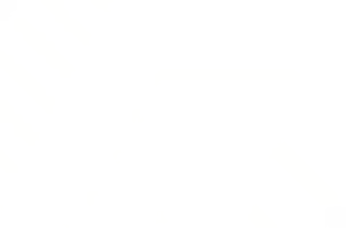 FLW