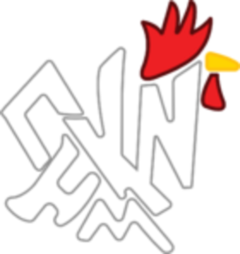 Chimkin