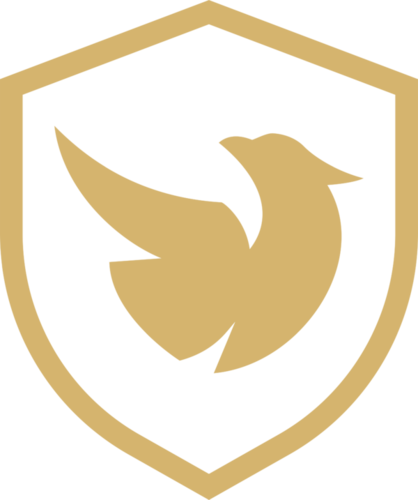 RVN