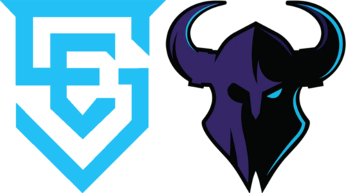 ESG