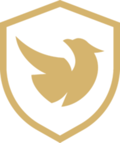 RVN