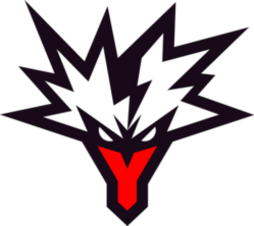TY