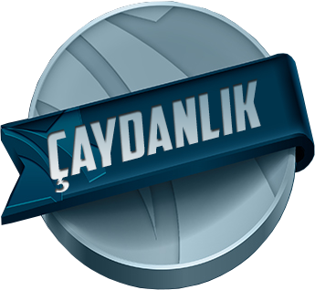 ÇAY