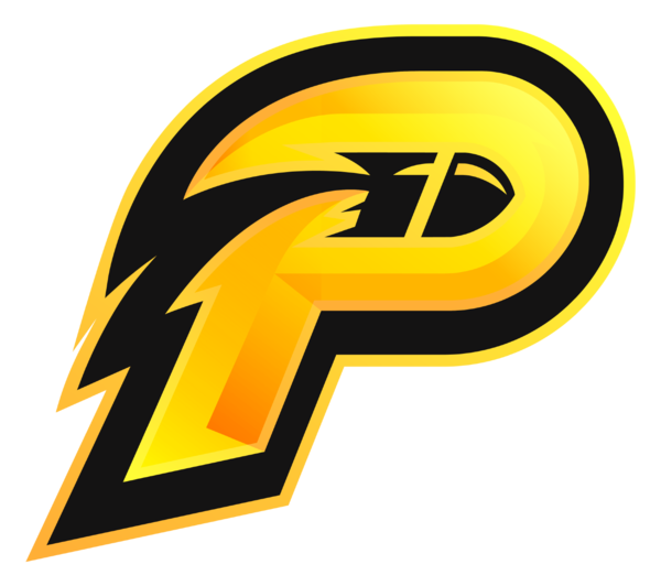 cyberPRO logo