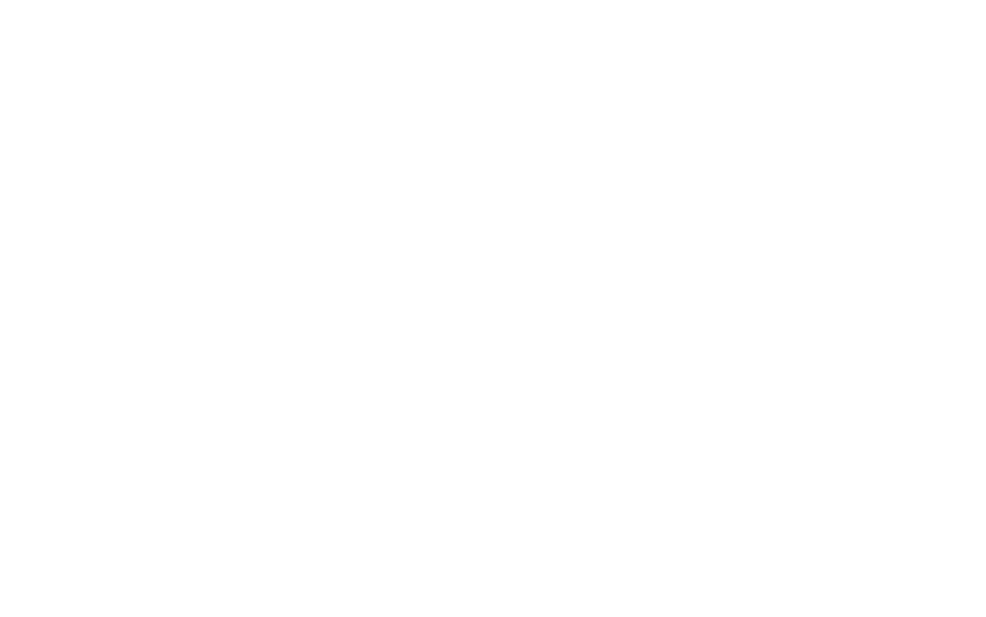 Elisa Nordic Championship logo