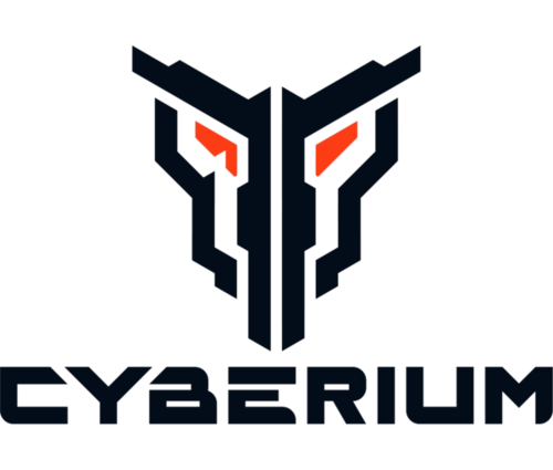Cyber