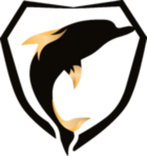 INT