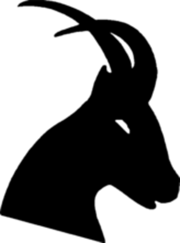 REGAIN