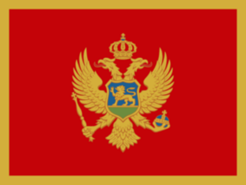 MNE