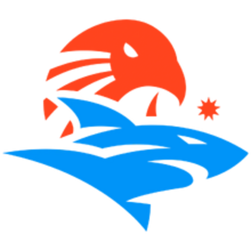 IE