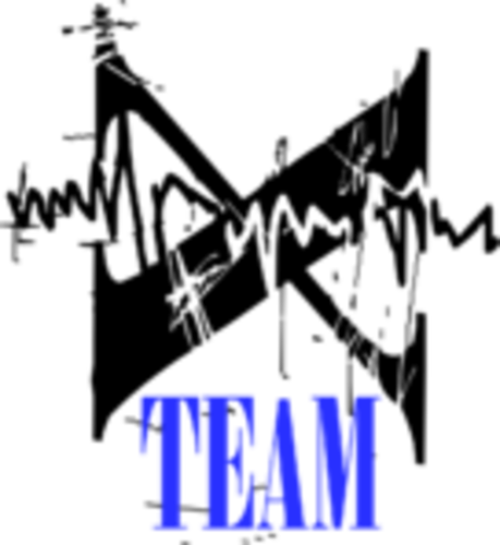 Team X