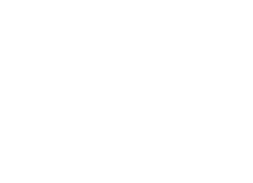 DSY
