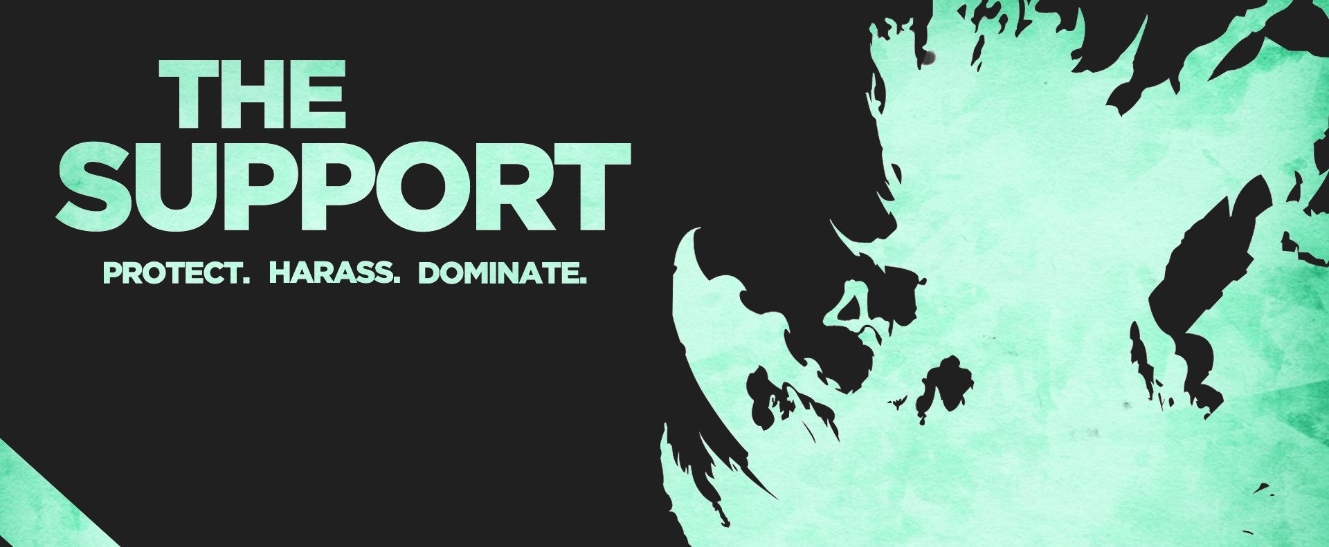 5 Dicas Para Suportes