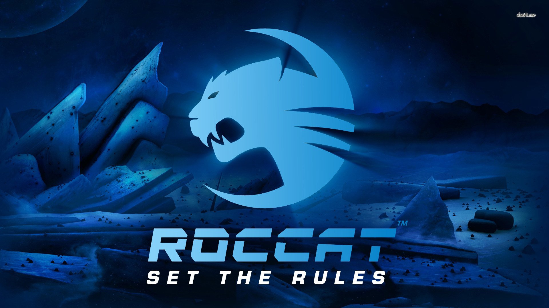 Roccat perde seus 5 jogadores para 2016