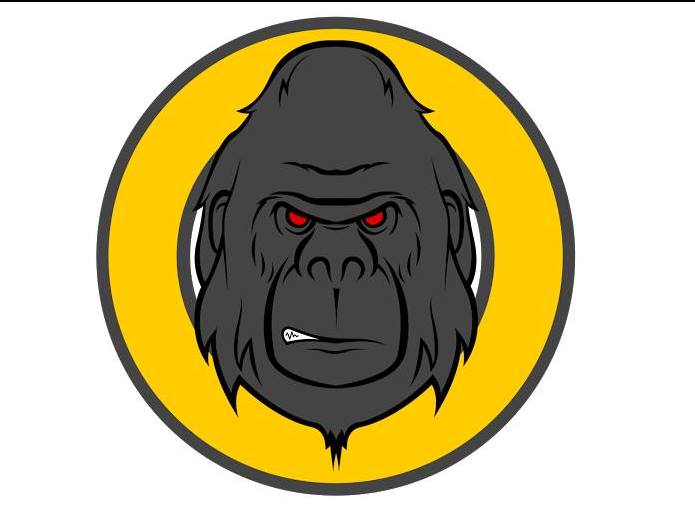 Ilha da Macacada – Maior Grupo de League of Legends do Brasil cai e se Reergue em menos de 12 horas