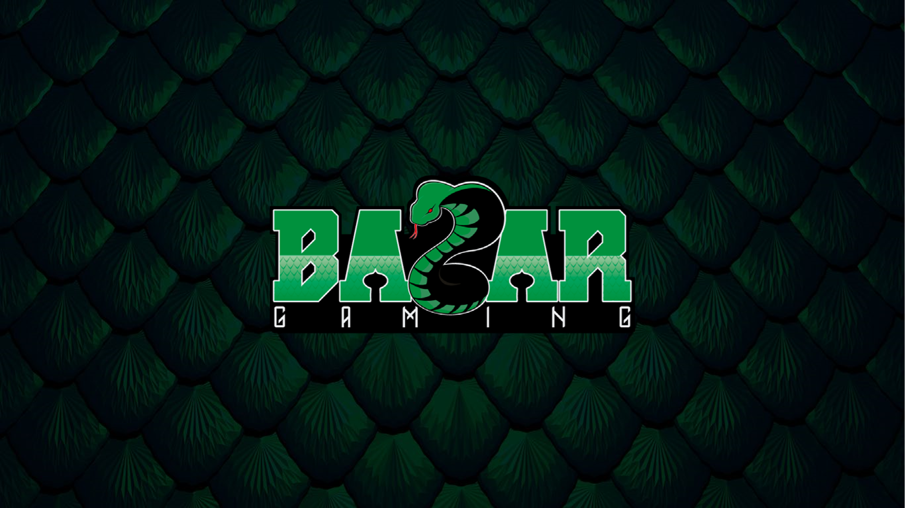 Com Magic, Hearthstone e Pokémon, Bazar Gaming anuncia equipe com vários brasileiros