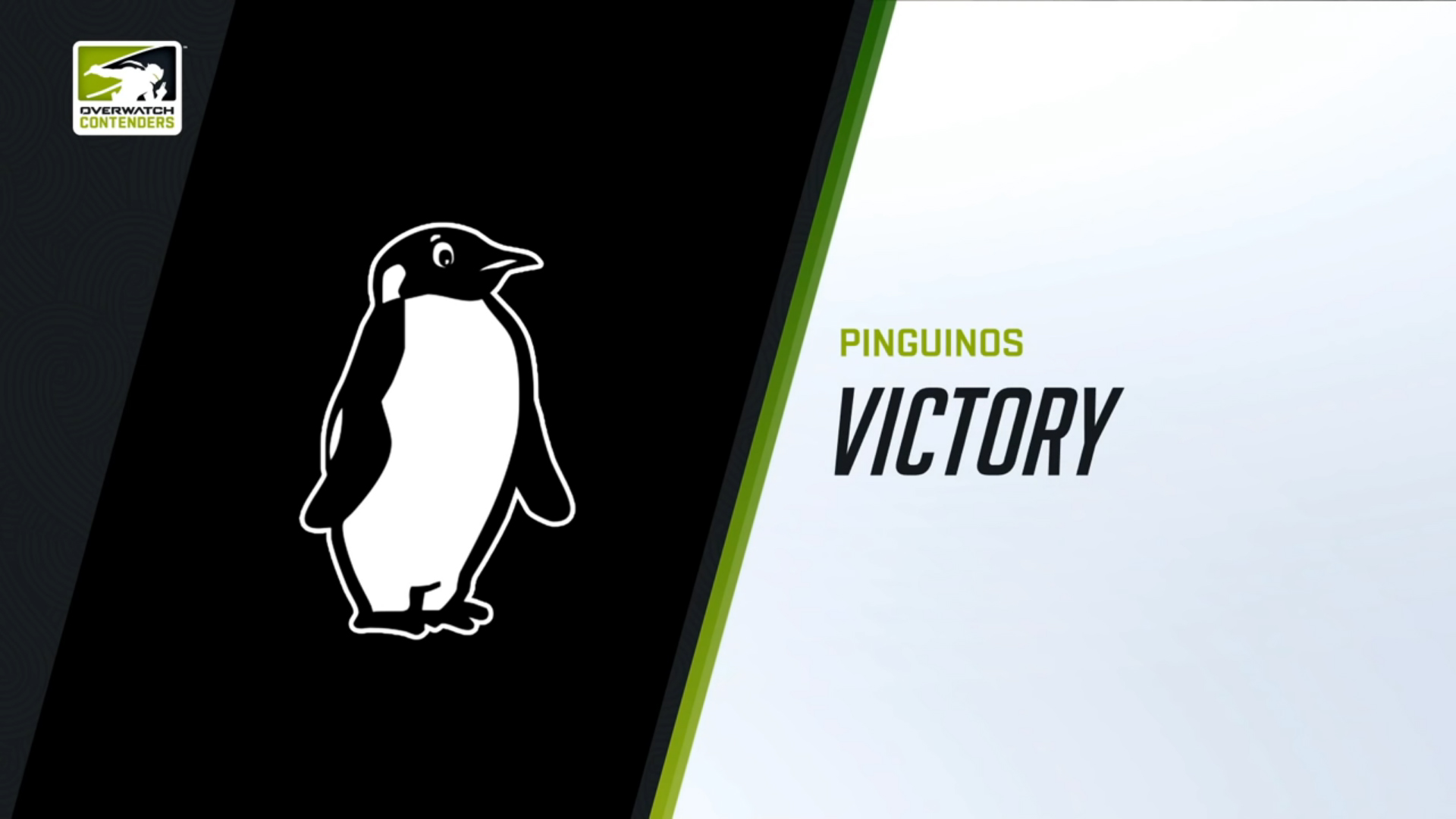 Overwatch: Quem disse que pinguim não voa? – Entrevista com Jhein, da Pingüinos