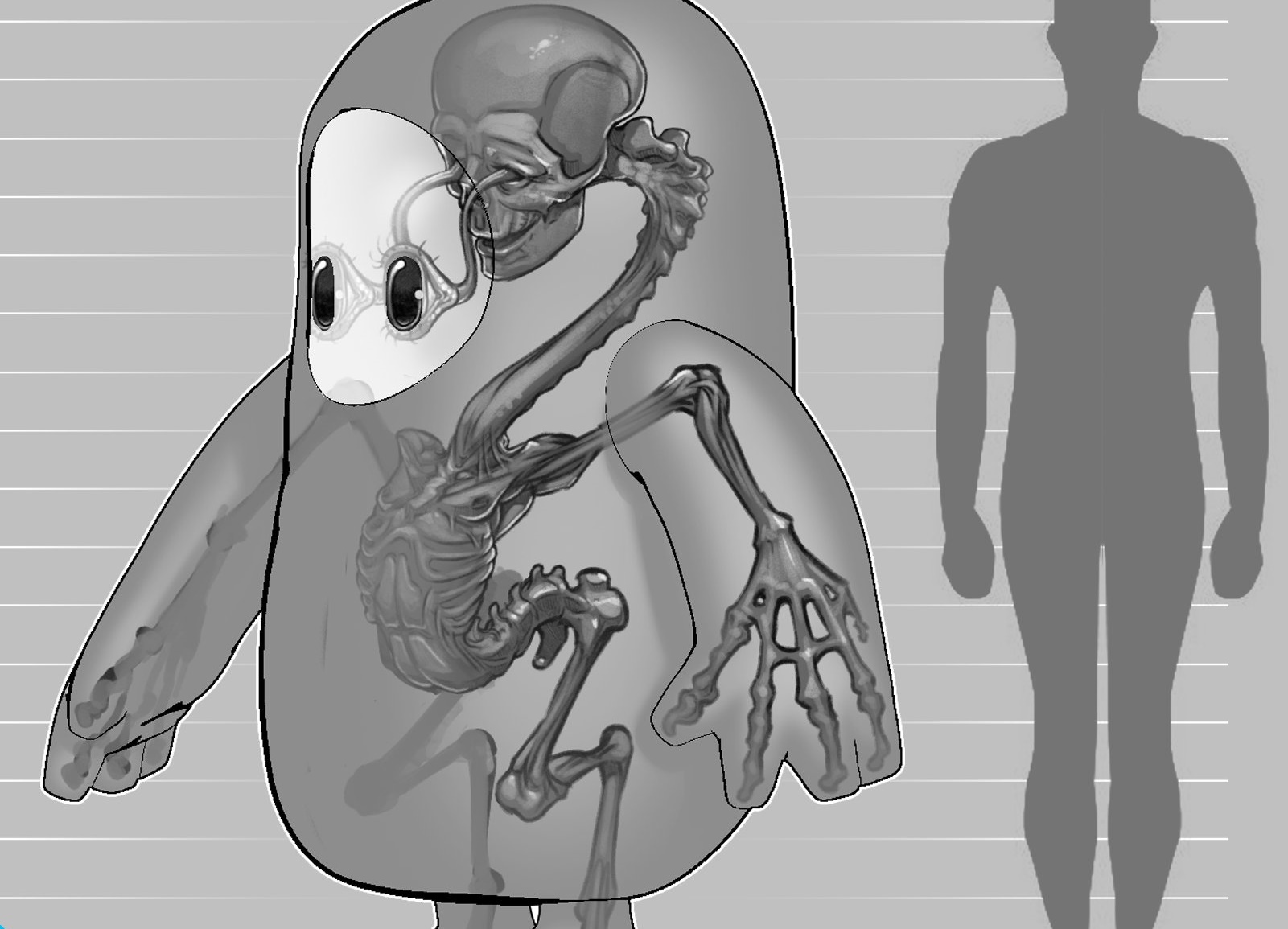 Fall Guys: Estúdio revela a anatomia dos personagens e eles são bizarros