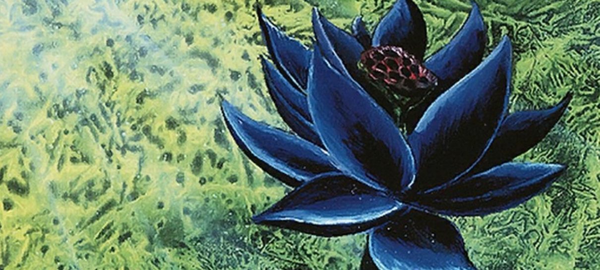Carta “Black Lotus” do Magic: The Gathering: é vendida por R$ 2,8 milhões