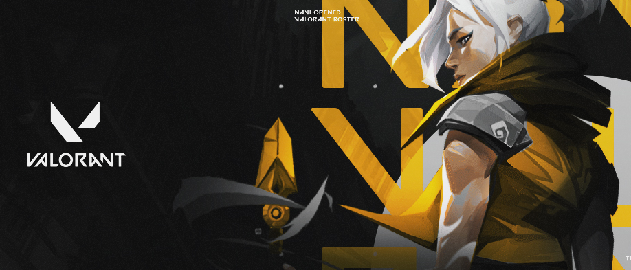 VALORANT: NAVI anuncia entrada no competitivo