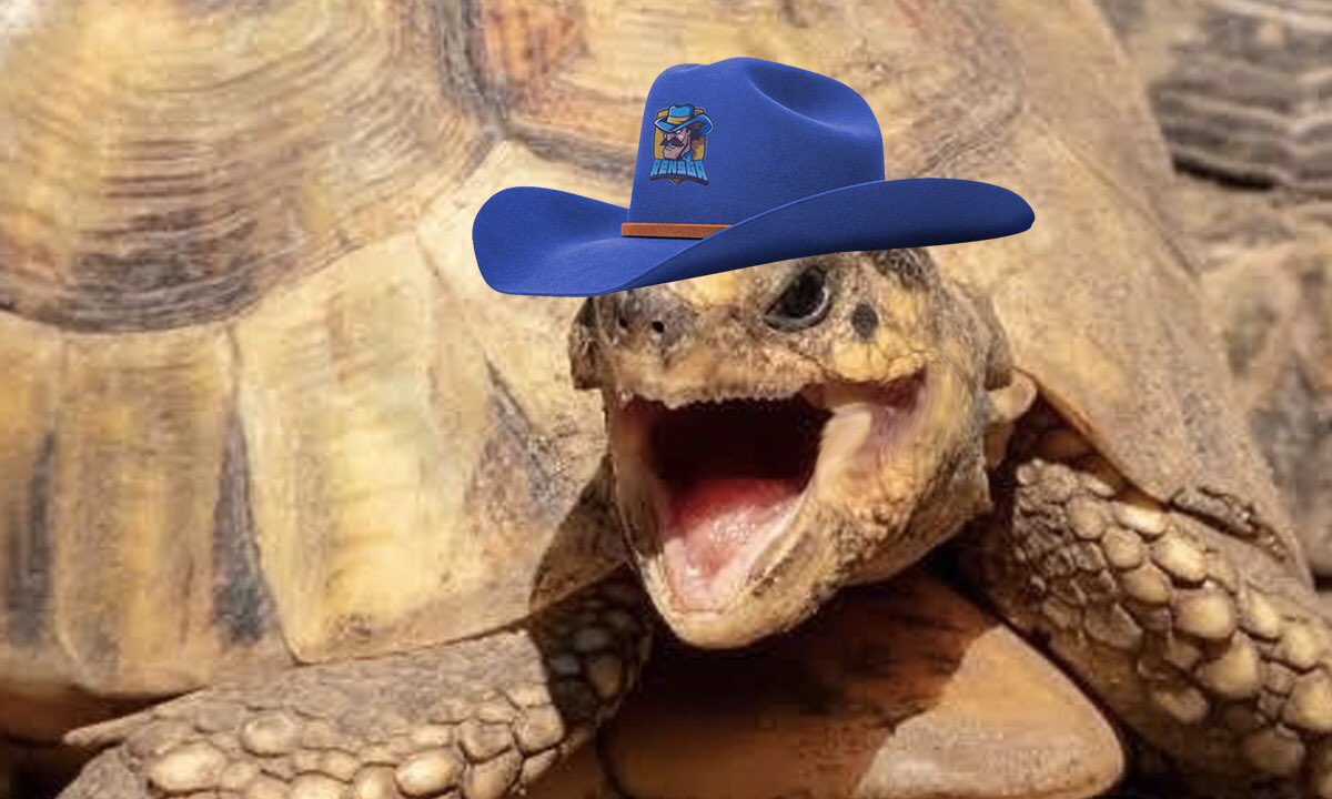 CBLOL 2021: Rensga zoa Ranger após ser chamada de “Jabuti na árvore”