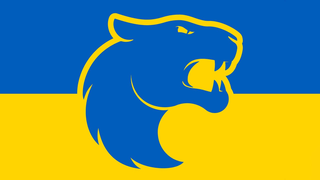 Organizações de Esports se posicionam em apoio à Ucrânia