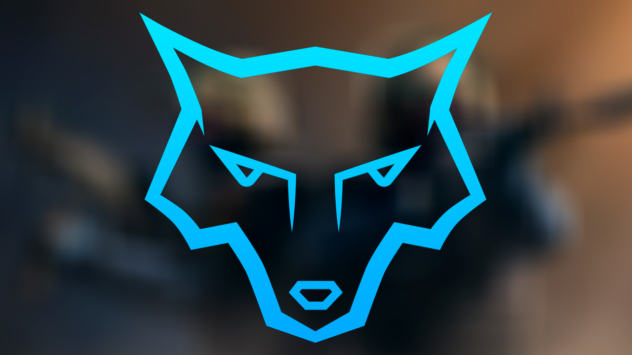 CS:GO: Arctic afasta CEO e diretor de marketing após acusação de racismo