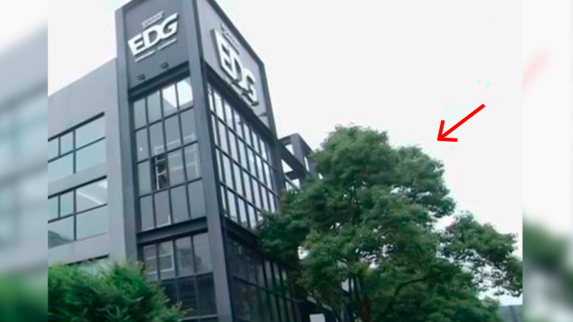 LPL 2023: Fã sobe em árvore para filmar Uzi em GH da EDG