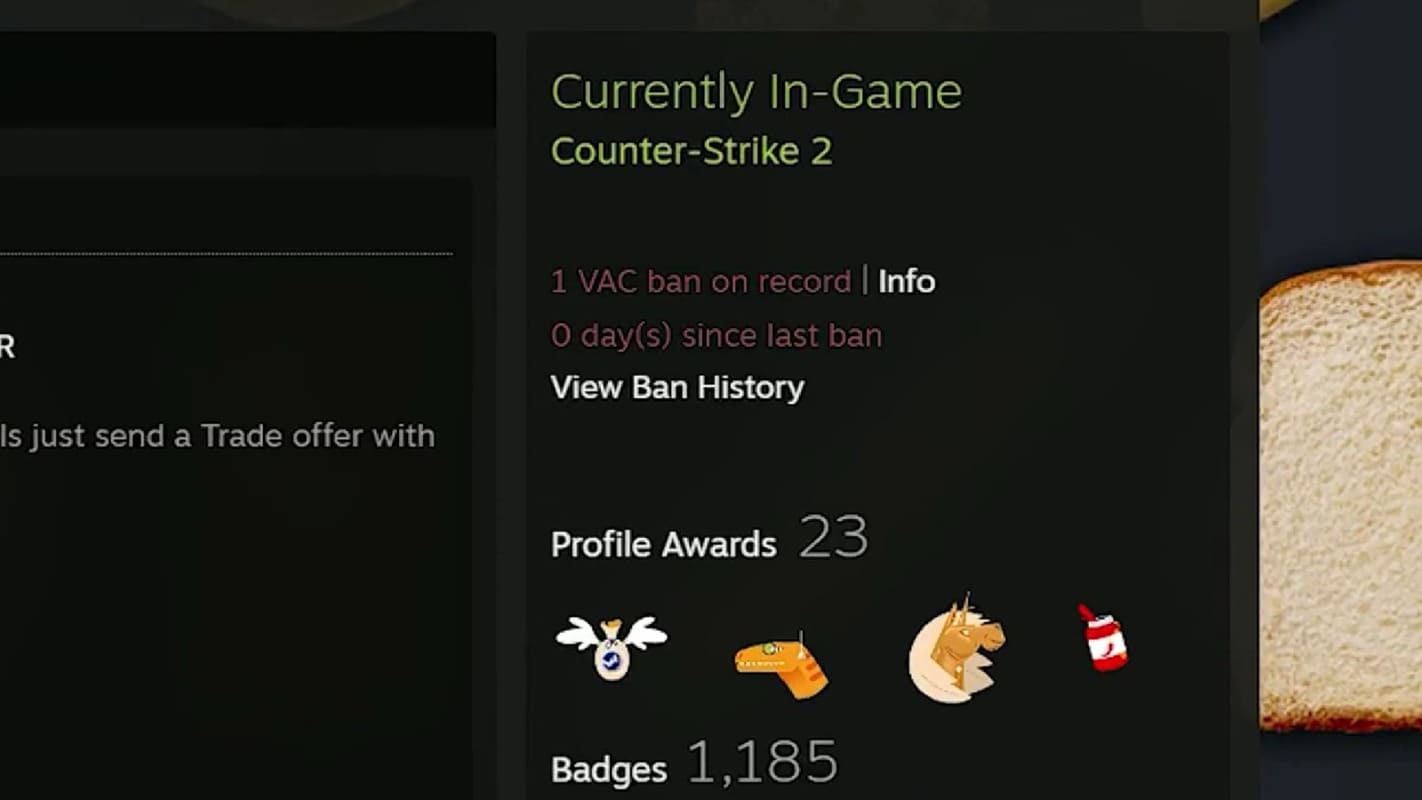 CS2: Jogador é banido injustamente e perde mais de R$ 500 mil em skins