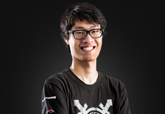 Best of Wildturtle