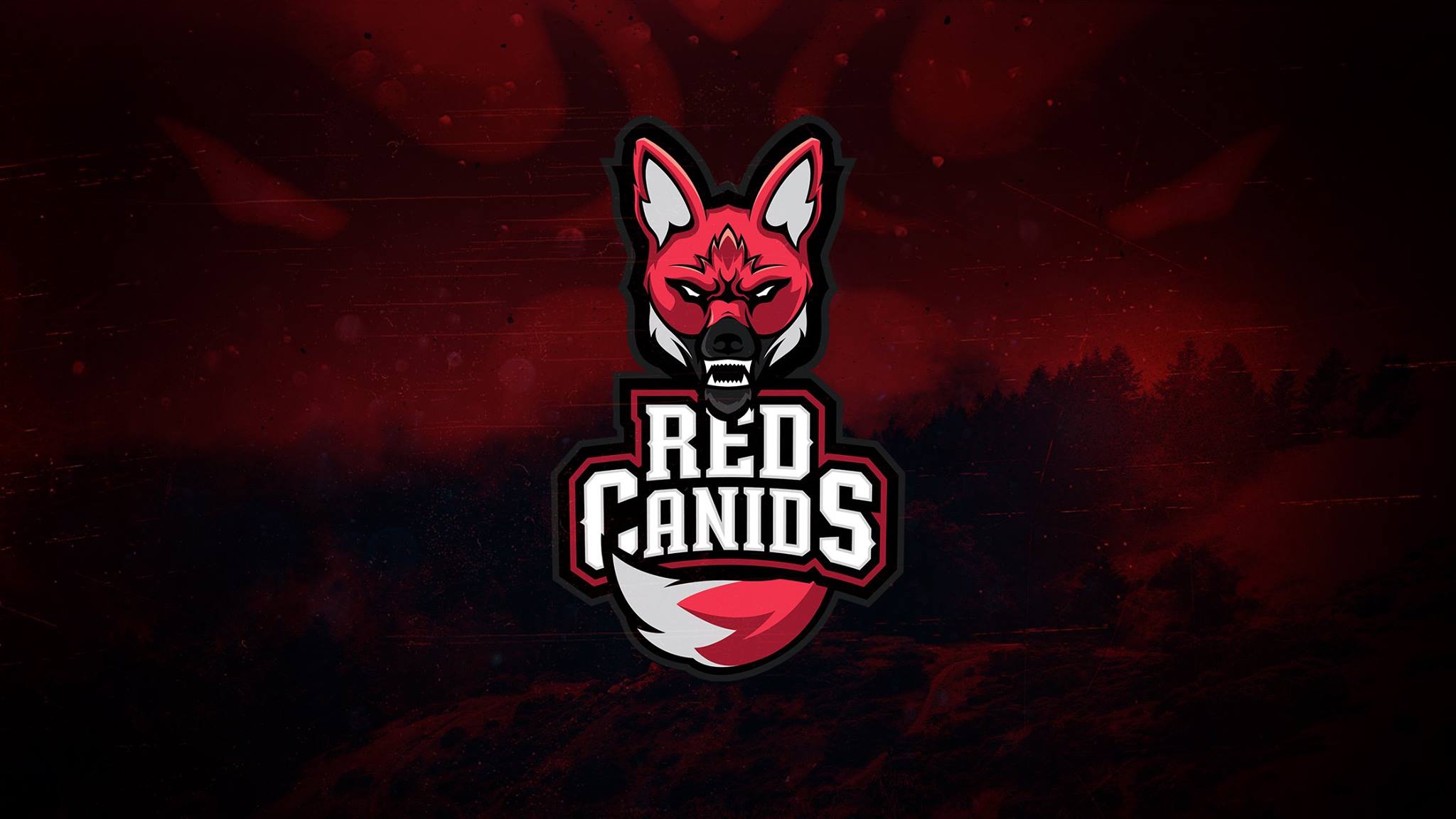 INTZ Red agora é Red Canids e anuncia Nova Line com Ayel no Top