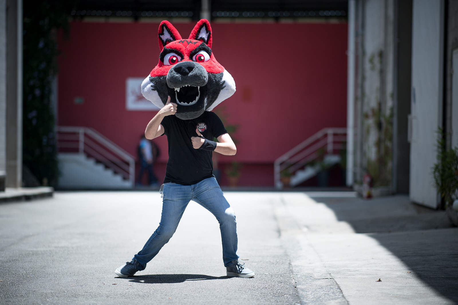 RED Canids busca mid laner para a RED Academy; Avenger é promovido para equipe principal