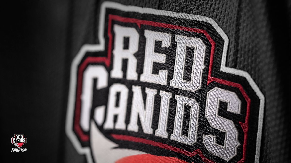 Red Canids está de volta ao CS:GO