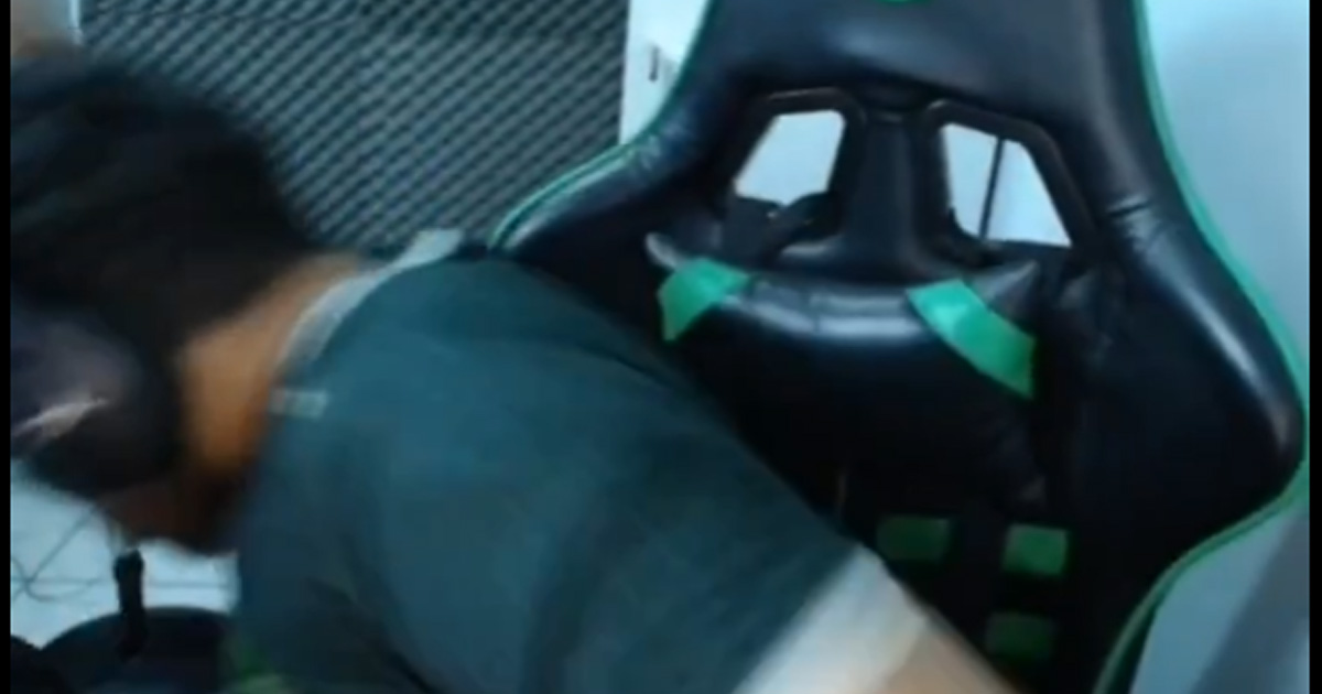 VALORANT: Streamer agride cachorro em live e se pronuncia: “estou recebendo ameaças de morte”