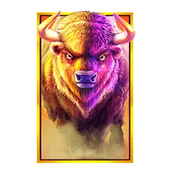 Icon 1
