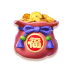 Bag of Coins